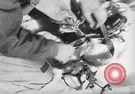 Image of German ski troops France, 1944, second 21 stock footage video 65675061208