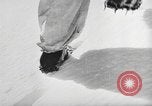 Image of German ski troops France, 1944, second 29 stock footage video 65675061208