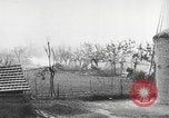 Image of German soldiers receive Iron Cross Italy, 1944, second 41 stock footage video 65675061209