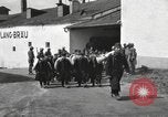 Image of Youth cadets of Royal Hungarian High School marching Freyung Germany, 1945, second 22 stock footage video 65675061210