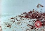 Image of United States officers Pacific Theater, 1944, second 32 stock footage video 65675061218