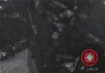 Standbild Überlebenden der USS Indianapolis Peleliu Palau Inseln, 1945, aus Sekunde 37 historischem Filmmaterial Videoclip 65675061227