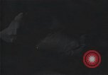 Standbild Überlebenden der USS Indianapolis Peleliu Palau Inseln, 1945, aus Sekunde 41 historischem Filmmaterial Videoclip 65675061227