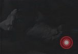 Standbild Überlebenden der USS Indianapolis Peleliu Palau Inseln, 1945, aus Sekunde 42 historischem Filmmaterial Videoclip 65675061227