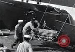 Standbild Überlebenden der USS Indianapolis CA-35 Peleliu Palau Inseln, 1945, aus Sekunde 49 historischem Filmmaterial Videoclip 65675061229