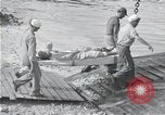 Image of survivors of USS Indianapolis CA-35 Peleliu Palau Islands, 1945, second 15 stock footage video 65675061232