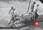 Image of survivors of USS Indianapolis CA-35 Peleliu Palau Islands, 1945, second 16 stock footage video 65675061232