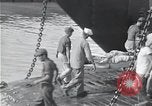Image of survivors of USS Indianapolis CA-35 Peleliu Palau Islands, 1945, second 19 stock footage video 65675061232