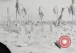 Immagine di Eniwetok dopo la sua cattura da parte delle forze statunitensi Eniwetok atollo delle Isole Marshall, 1944, secondo 9 filmato di repertorio 65675061240