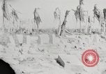 Immagine di Eniwetok dopo la sua cattura da parte delle forze statunitensi Eniwetok atollo delle Isole Marshall, 1944, secondo 10 filmato di repertorio 65675061240