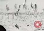 Immagine di Eniwetok dopo la sua cattura da parte delle forze statunitensi Eniwetok atollo delle Isole Marshall, 1944, secondo 11 filmato di repertorio 65675061240