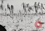 Immagine di Eniwetok dopo la sua cattura da parte delle forze statunitensi Eniwetok atollo delle Isole Marshall, 1944, secondo 14 filmato di repertorio 65675061240