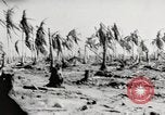 Immagine di Eniwetok dopo la sua cattura da parte delle forze statunitensi Eniwetok atollo delle Isole Marshall, 1944, secondo 21 filmato di repertorio 65675061240