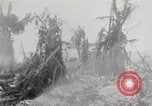 Image of United States soldiers Enewetak Atoll Marshall Islands, 1944, second 16 stock footage video 65675061241