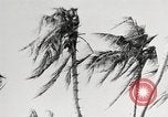 Image of United States soldiers Enewetak Atoll Marshall Islands, 1944, second 39 stock footage video 65675061241