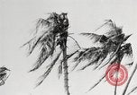 Image of United States soldiers Enewetak Atoll Marshall Islands, 1944, second 40 stock footage video 65675061241
