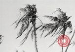 Image of United States soldiers Enewetak Atoll Marshall Islands, 1944, second 41 stock footage video 65675061241