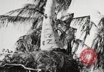 Image of United States soldiers Enewetak Atoll Marshall Islands, 1944, second 44 stock footage video 65675061241