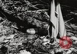 Image of United States soldiers Enewetak Atoll Marshall Islands, 1944, second 46 stock footage video 65675061241