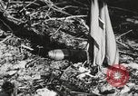 Image of United States soldiers Enewetak Atoll Marshall Islands, 1944, second 47 stock footage video 65675061241
