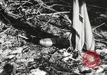 Image of United States soldiers Enewetak Atoll Marshall Islands, 1944, second 48 stock footage video 65675061241