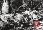 Image of United States soldiers Enewetak Atoll Marshall Islands, 1944, second 49 stock footage video 65675061241
