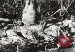 Image of United States soldiers Enewetak Atoll Marshall Islands, 1944, second 51 stock footage video 65675061241