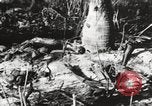 Image of United States soldiers Enewetak Atoll Marshall Islands, 1944, second 52 stock footage video 65675061241