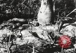 Image of United States soldiers Enewetak Atoll Marshall Islands, 1944, second 53 stock footage video 65675061241