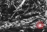 Image of United States soldiers Enewetak Atoll Marshall Islands, 1944, second 59 stock footage video 65675061241