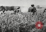 Image of United States troops advance Argonne forest France, 1918, second 12 stock footage video 65675061250