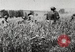 Image of United States troops advance Argonne forest France, 1918, second 13 stock footage video 65675061250
