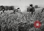 Image of United States troops advance Argonne forest France, 1918, second 14 stock footage video 65675061250