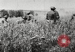 Image of United States troops advance Argonne forest France, 1918, second 15 stock footage video 65675061250