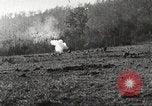Image of United States troops advance Argonne forest France, 1918, second 28 stock footage video 65675061250