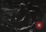 Image of United States soldiers relaxing World War 1 France, 1918, second 11 stock footage video 65675061255