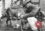 Image of United States soldiers relaxing World War 1 France, 1918, second 21 stock footage video 65675061255