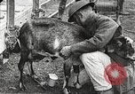 Image of United States soldiers relaxing World War 1 France, 1918, second 23 stock footage video 65675061255