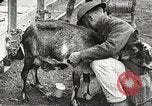 Image of United States soldiers relaxing World War 1 France, 1918, second 24 stock footage video 65675061255