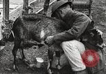 Image of United States soldiers relaxing World War 1 France, 1918, second 25 stock footage video 65675061255