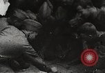 Image of World War 1 US soldiers watching drag queens perform France, 1918, second 49 stock footage video 65675061256