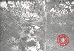 Image of dead German soldiers Verdun France, 1916, second 11 stock footage video 65675061261