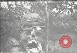 Image of dead German soldiers Verdun France, 1916, second 12 stock footage video 65675061261