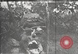 Image of dead German soldiers Verdun France, 1916, second 13 stock footage video 65675061261