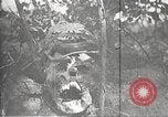 Image of dead German soldiers Verdun France, 1916, second 16 stock footage video 65675061261