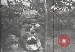 Image of dead German soldiers Verdun France, 1916, second 17 stock footage video 65675061261