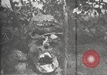 Image of dead German soldiers Verdun France, 1916, second 18 stock footage video 65675061261