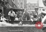Image of home-made pool New York United States USA, 1922, second 19 stock footage video 65675061269