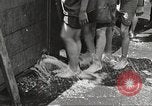 Image of home-made pool New York United States USA, 1922, second 29 stock footage video 65675061269