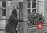 Immagine di Soldati statunitensi Colleville-sur-Mer Normandia Francia, 1944, secondo 23 filmato di repertorio 65675061288
